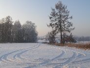 Fotografie obce